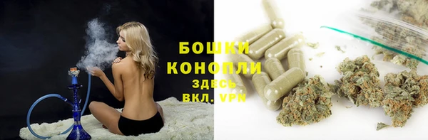 сатива Абдулино