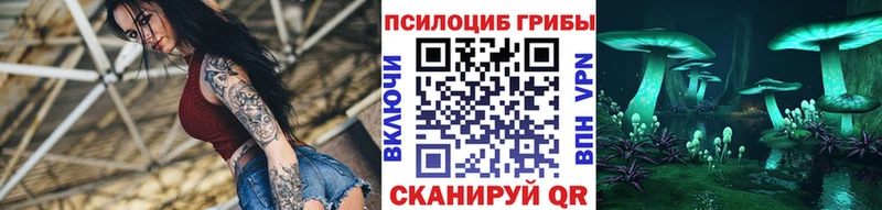 даркнет сайт  блэк спрут зеркало  Галлюциногенные грибы мицелий  Тихвин 