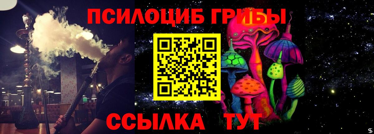 Псилоцибиновые грибы прущие грибы  Галлюциногенные грибы Psilocybine cubensis  Тихвин  Вход с VPN 